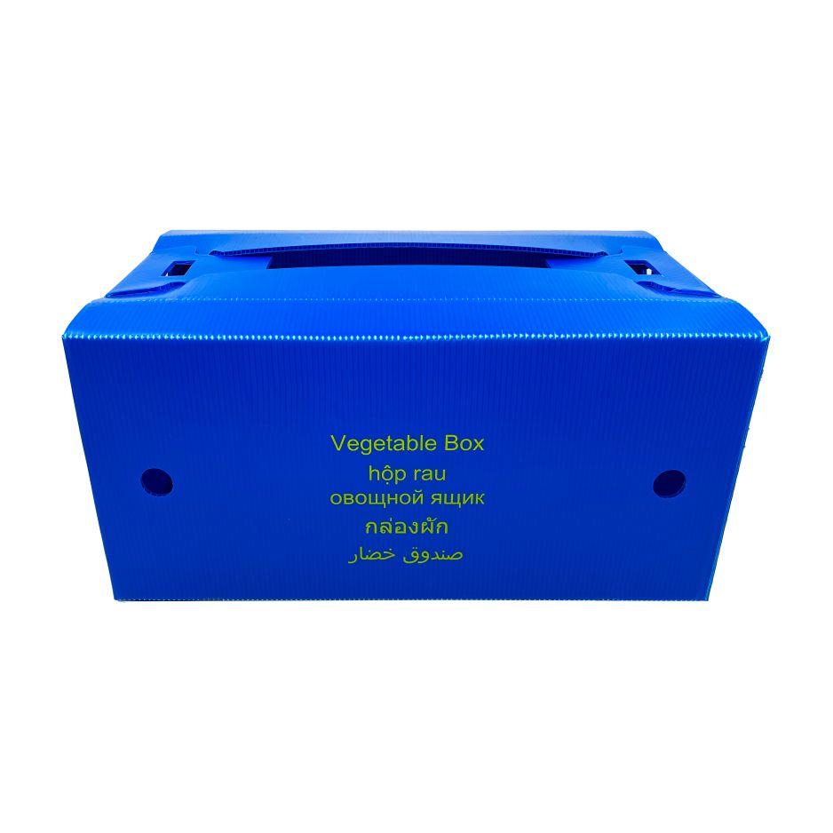 PP Plastic Box